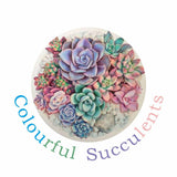Colourful succulents